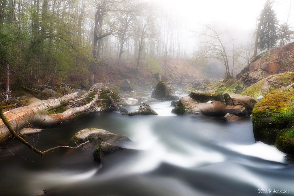 Testbild